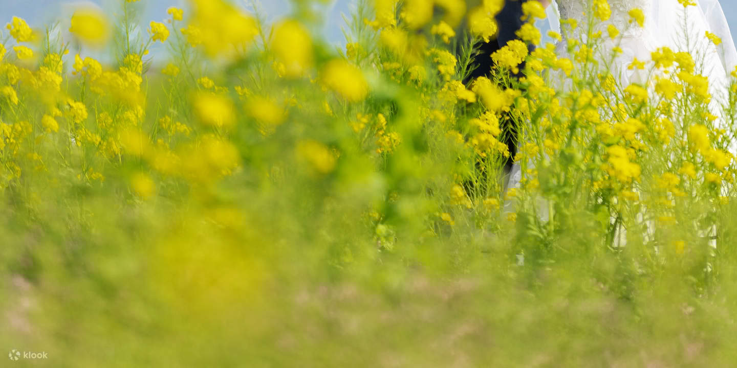 Tokyo: Lawatan Foto Perkahwinan dengan 3 Lokasi & Penggayaan Profesional